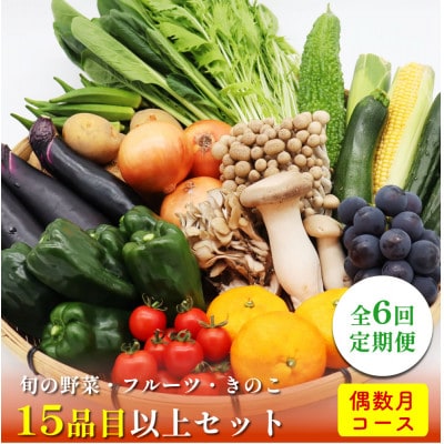 【発送月固定定期便】15品目以上 豪華野菜セット 野菜・フルーツ・キノコを詰合せ 偶数月コース全6回