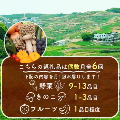 【発送月固定定期便】15品目以上 豪華野菜セット 野菜・フルーツ・キノコを詰合せ 偶数月コース全6回