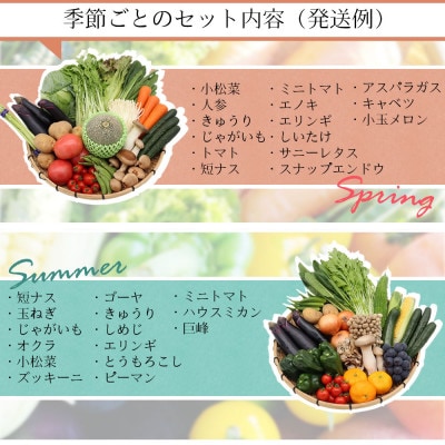 【発送月固定定期便】15品目以上 豪華野菜セット 野菜・フルーツ・キノコを詰合せ 偶数月コース全6回