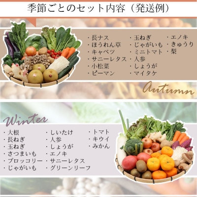【発送月固定定期便】15品目以上 豪華野菜セット 野菜・フルーツ・キノコを詰合せ 偶数月コース全6回