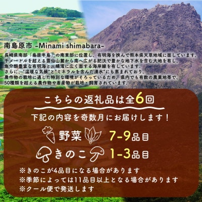 【発送月固定定期便】野菜とキノコが10品目入ったおまかせ野菜セット 少人数世帯向け 奇数月全6回