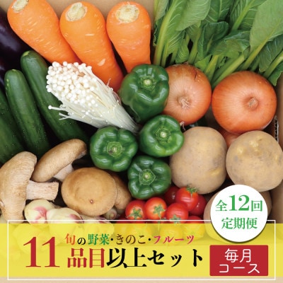 【発送月固定定期便】野菜果物セット 野菜(キノコ)・フルーツ 11品目以上 詰め合わせ全12回