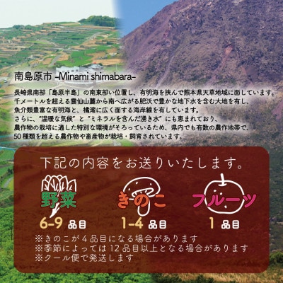 【発送月固定定期便】野菜果物セット 野菜(キノコ)・フルーツ 11品目以上 詰め合わせ全12回