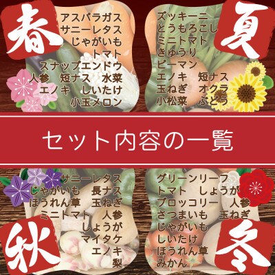 【発送月固定定期便】野菜果物セット 野菜(キノコ)・フルーツ 11品目以上 詰め合わせ全12回