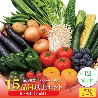 【発送月固定定期便】15品目以上(夏季は11品目以上)豪華!野菜セット フルーツ・キノコ付き全12回
