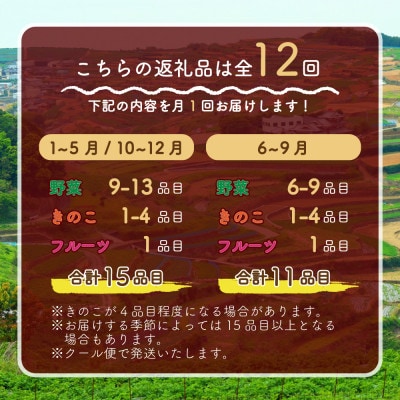 【発送月固定定期便】15品目以上(夏季は11品目以上)豪華!野菜セット フルーツ・キノコ付き全12回