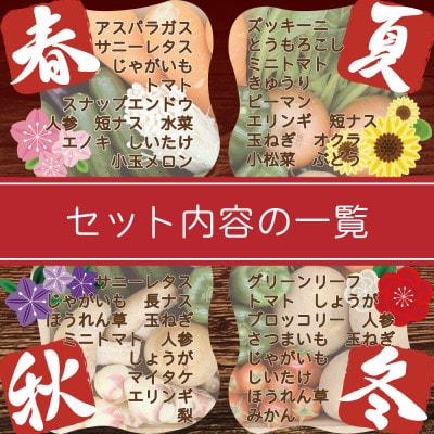 【発送月固定定期便】野菜果物セット 野菜(キノコ)・フルーツ 11品目以上 奇数月コース全6回