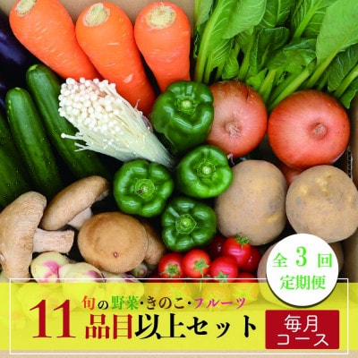 【毎月定期便】野菜果物セット 野菜(キノコ)・フルーツ 11品目以上 詰め合わせ全3回