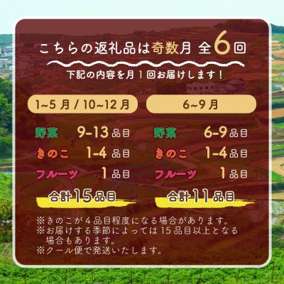 【発送月固定定期便】15品目以上(夏季は11品目以上)豪華!野菜セット フルーツ・キノコ付き全6回