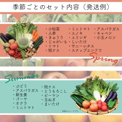 【発送月固定定期便】15品目以上(夏季は11品目以上)豪華!野菜セット フルーツ・キノコ付き全6回