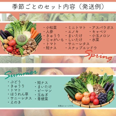 【発送月固定定期便】15品目以上(夏季は11品目以上)豪華!野菜セット フルーツ・キノコ付き全6回