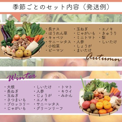【発送月固定定期便】15品目以上(夏季は11品目以上)豪華!野菜セット フルーツ・キノコ付き全6回