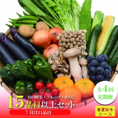 【発送月固定定期便】15品目以上(夏季は11品目以上) 豪華!野菜セット フルーツ・キノコ付き全4回
