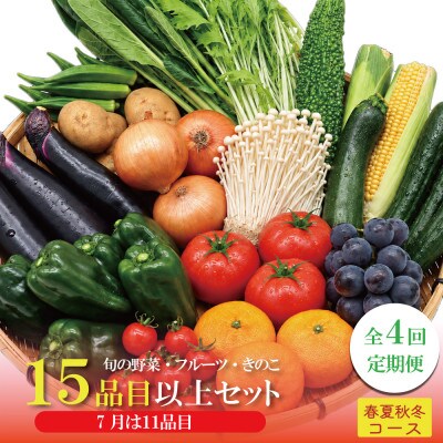 【発送月固定定期便】15品目以上(夏季は11品目以上) 豪華!野菜セット フルーツ・キノコ付き全4回