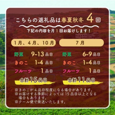 【発送月固定定期便】15品目以上(夏季は11品目以上) 豪華!野菜セット フルーツ・キノコ付き全4回
