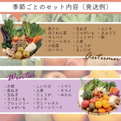 【発送月固定定期便】15品目以上(夏季は11品目以上) 豪華!野菜セット フルーツ・キノコ付き全4回