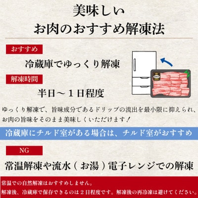 長崎和牛 焼き肉 食べ比べセット もも カルビ 600g