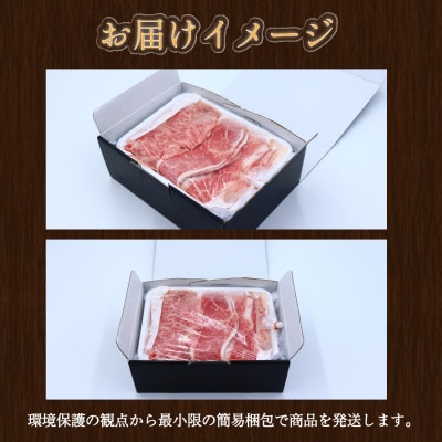長崎和牛 焼き肉 食べ比べセット もも カルビ 600g