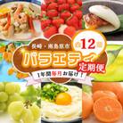 【発送月固定定期便】長崎・南島原グルメ バラエティ定期便 ちゃんぽん 角煮 フルーツ など全12回