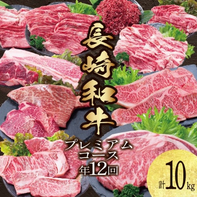 【発送月固定定期便】長崎和牛 プレミアムコース 計10kg 牛肉バラエティ定期便全12回