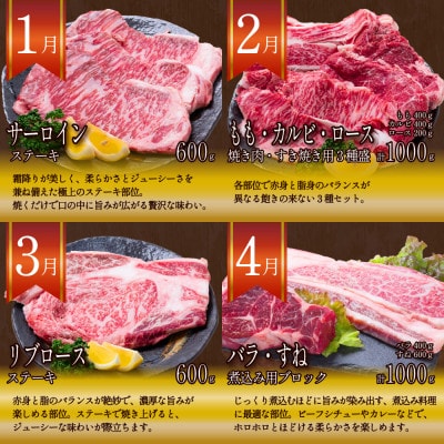 【発送月固定定期便】長崎和牛 プレミアムコース 計10kg 牛肉バラエティ定期便全12回