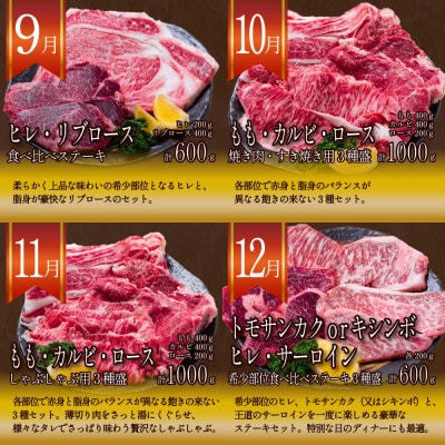 【発送月固定定期便】長崎和牛 プレミアムコース 計10kg 牛肉バラエティ定期便全12回
