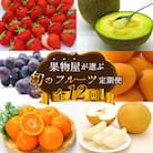 【発送月固定定期便】果物屋が選ぶ旬のフルーツ定期便 いちご びわ みかん メロン 梨 など全12回