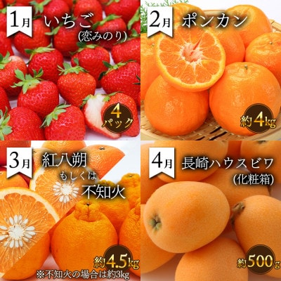 【発送月固定定期便】果物屋が選ぶ旬のフルーツ定期便 いちご びわ みかん メロン 梨 など全12回