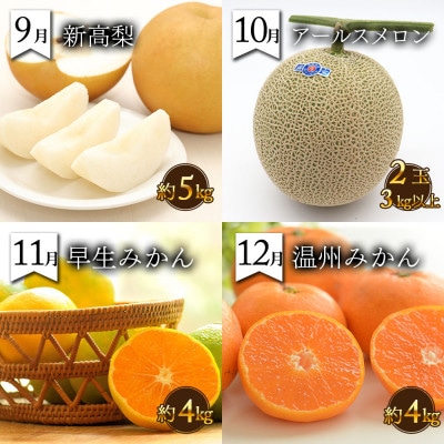 【発送月固定定期便】果物屋が選ぶ旬のフルーツ定期便 いちご びわ みかん メロン 梨 など全12回