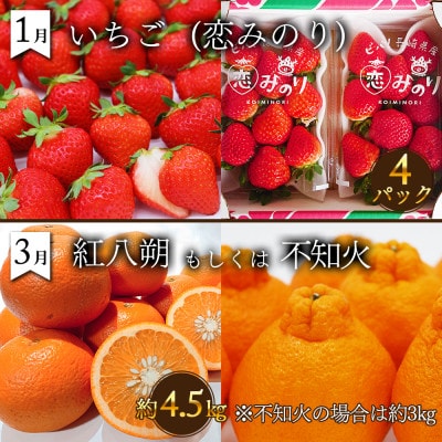 【発送月固定定期便】果物屋が選ぶ旬のフルーツ定期便 奇数月発送コース全6回