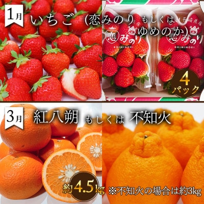 【発送月固定定期便】果物屋が選ぶ旬のフルーツ定期便 奇数月発送コース全6回