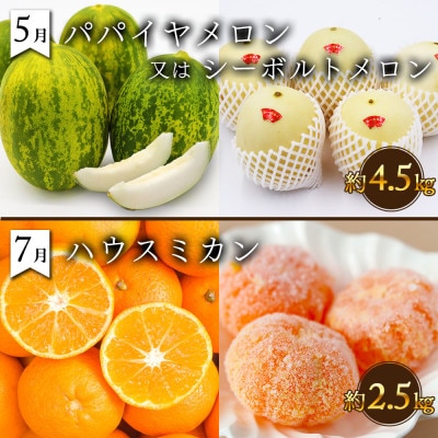 【発送月固定定期便】果物屋が選ぶ旬のフルーツ定期便 奇数月発送コース全6回