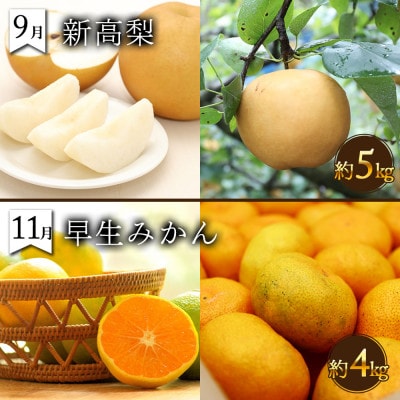 【発送月固定定期便】果物屋が選ぶ旬のフルーツ定期便 奇数月発送コース全6回