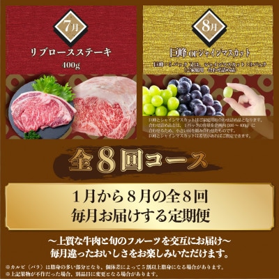 【発送月固定定期便】長崎和牛と旬のフルーツが楽しめる バラエティ定期便 リブロース ぶどうなど全8回
