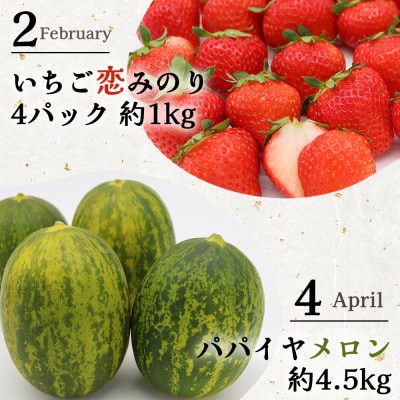 【発送月固定定期便】長崎・南島原グルメ バラエティ定期便 そうめん シャインマスカットなど全6回