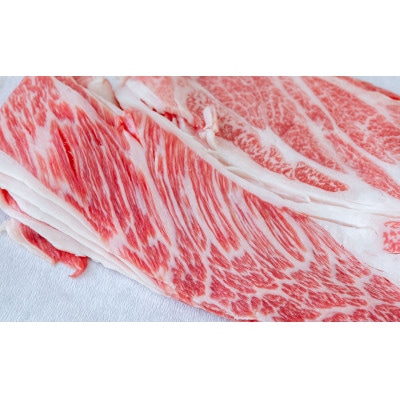 「長崎和牛」肩ロース500g