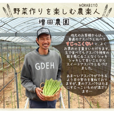 生で食べられる 夏のスイートアスパラ どっさり!約1.5kg(L~3Lサイズ)