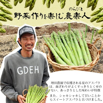 アスパラ農家の素麺ミールセット 「スイートアスパラとトマトのぶっかけ素麺」レシピ付き