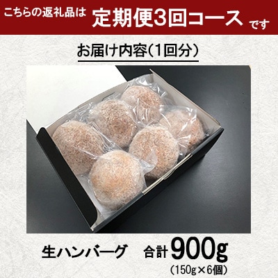 【毎月定期便】長崎和牛100%使用生ハンバーグ150g×6個 計900g 全3回