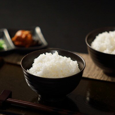 【毎月定期便】【南島原市産】ひのひかり10kg　林田米穀店全6回