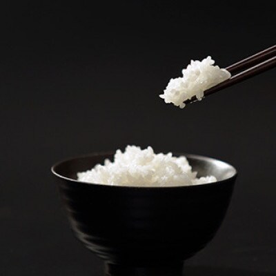 【毎月定期便】【南島原市産】ひのひかり10kg　林田米穀店全6回