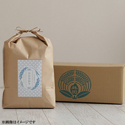 【毎月定期便】【南島原市産】ひのひかり10kg　林田米穀店全6回