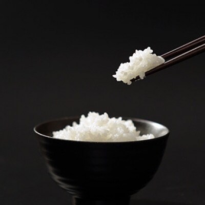 【毎月定期便】【南島原市産】ひのひかり10kg　林田米穀店全3回