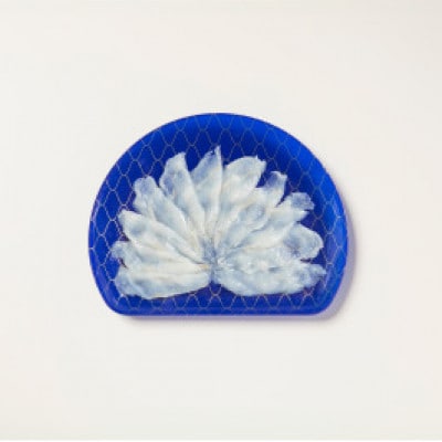 とらふぐのてっさ(小皿)30g×10皿
