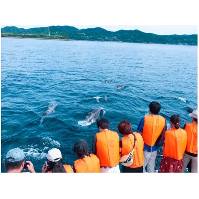 イルカウォッチングペアチケット