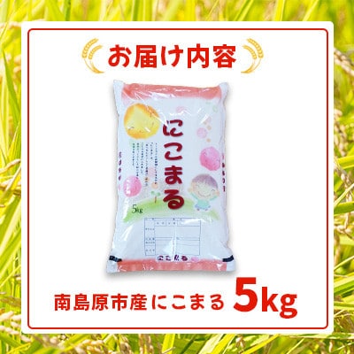 南島原市産 お米(精米)にこまる 5kg