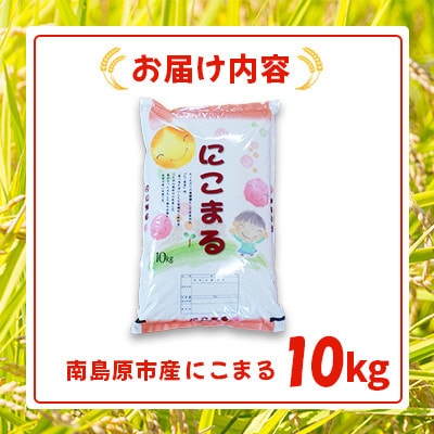 南島原市産 お米(精米)にこまる 10kg