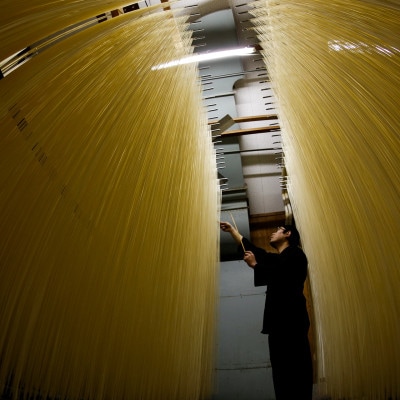手延べパスタ 3kg(50g×60束)