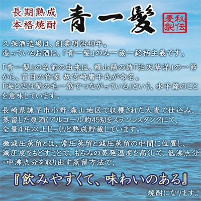 青一髪 25度 900ml×2本