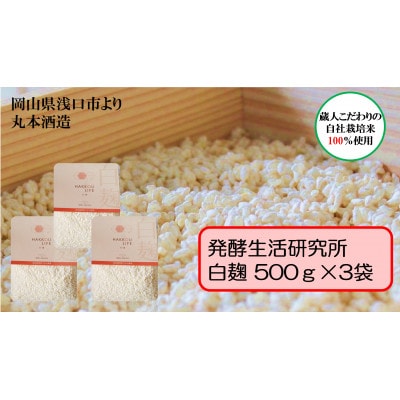 発酵生活研究所　白麹500g×3袋(計1.5kg)　